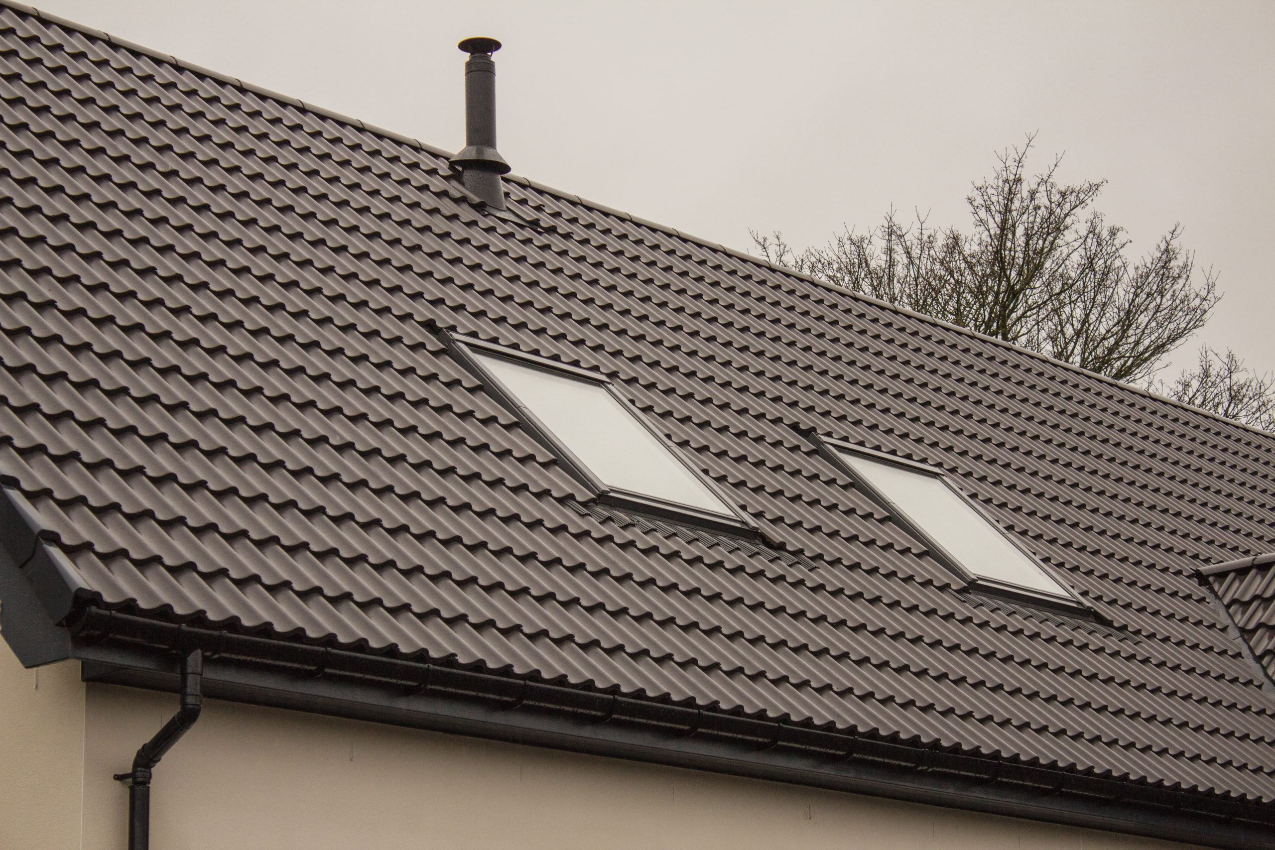 How To Stop Birds From Perching On Roof