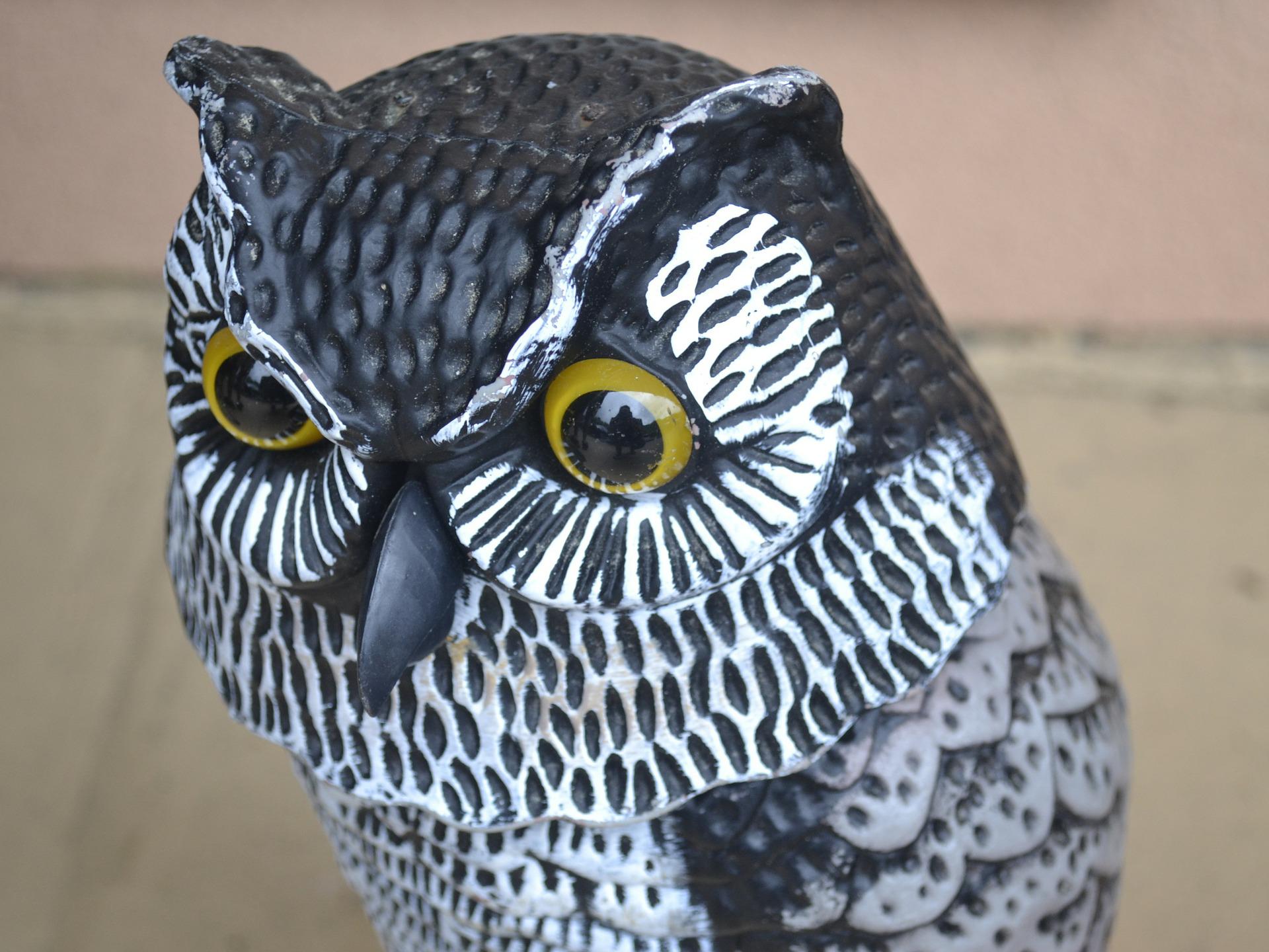 A visual owl deterrent